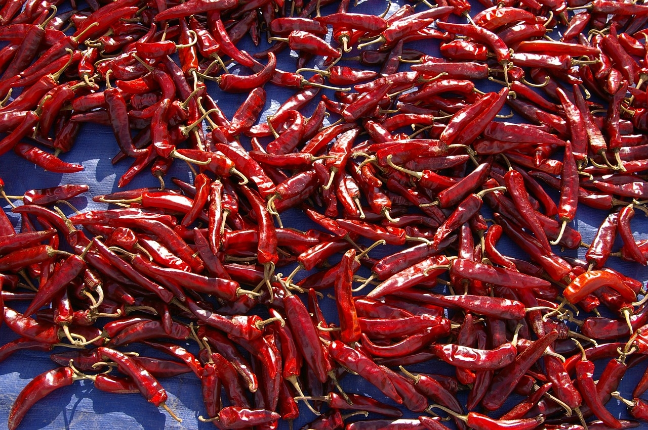 jak ususzyc papryczke chili