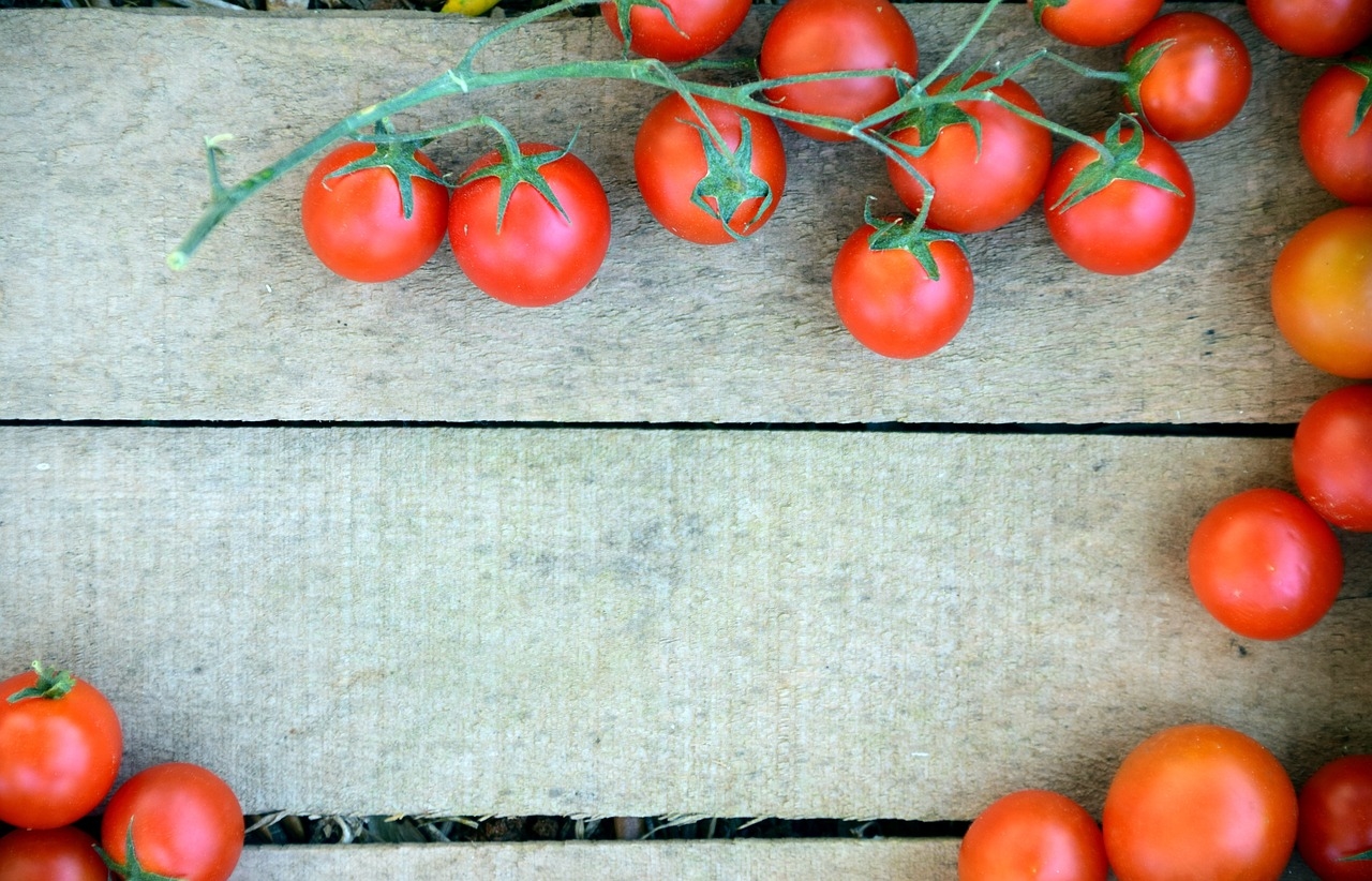 suszone pomidory w suszarce
